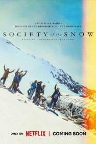 Общество снега
